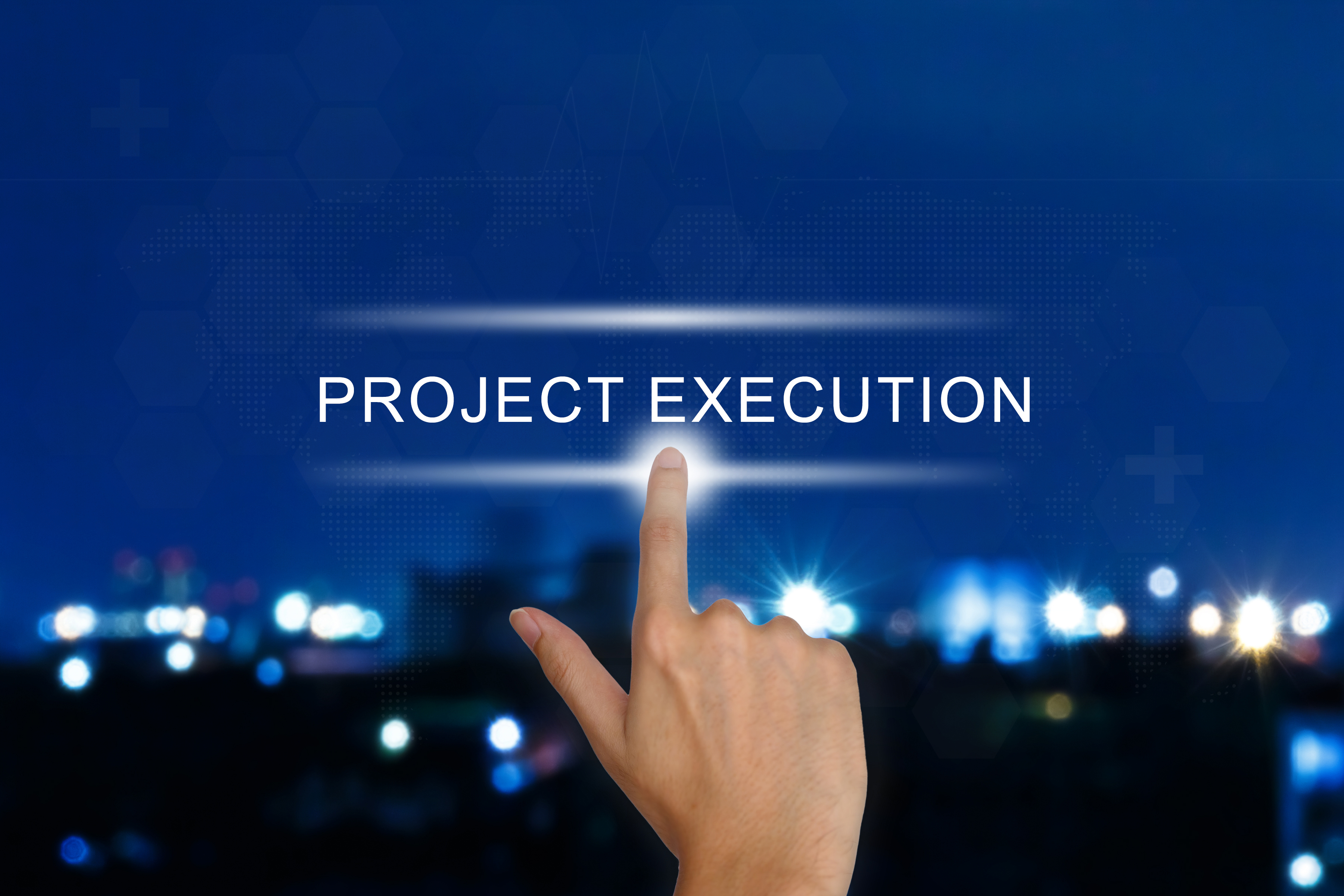 Project Plan Execution Leadership